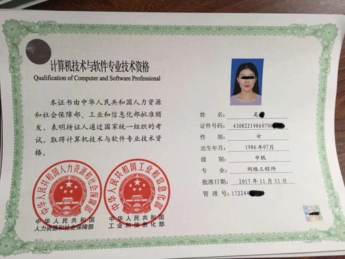 2019年下半年计算机软考网络工程师 中级与高级计算机网络工程深度解析